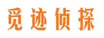 察隅外遇调查取证